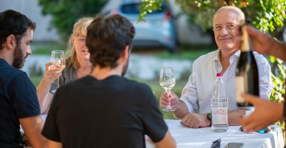 Soave: Wine Tasting and Vineyard Tour in Historical Centre