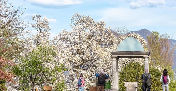 Verbania: Ogród Botaniczny Villa Taranto – bilet wstępu
