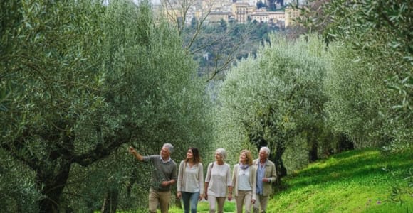Degustación de aceite de oliva y visita guiada a la almazara en Perugia