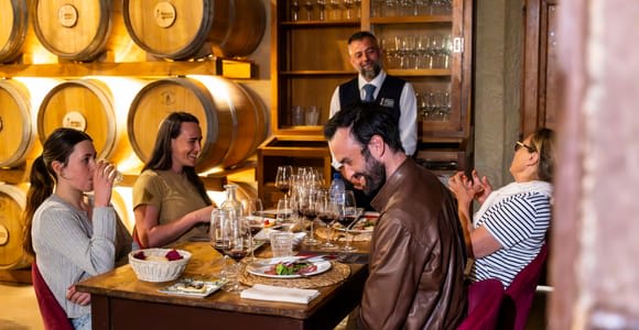 Chianti : Déjeuner avec dégustation de vins au domaine viticole Poggio ai Laghi