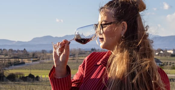 Lazise: Tasting of 6 wines with vineyard and cellar tour