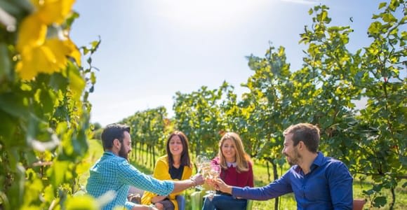 Desde Parma: tour de vino y gastronomía de día completo