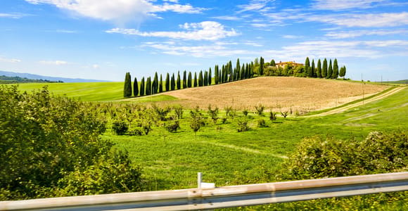 Depuis Sienne : visite des vignobles du Val d’Orcia avec déjeuner et Brunello