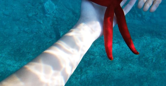 Naxos: Taormina Boat Tour with Snorkeling and Prosecco