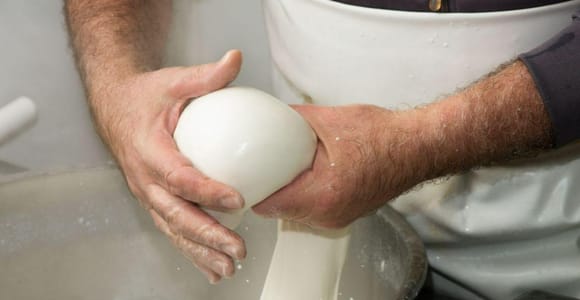Apulien: Mozzarella-Erlebnis auf einem apulischen Bauernhof