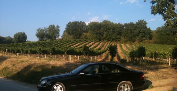 Excursión de día completo para catar vinos de Montefalco y Bevagna