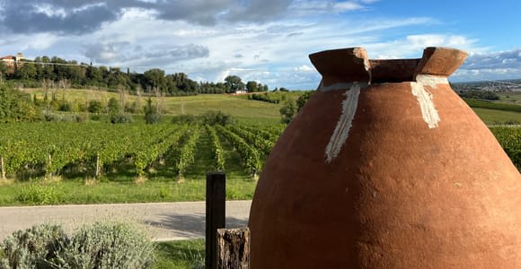 Tour & Verkostung auf dem Weingut Tenuta la Viola