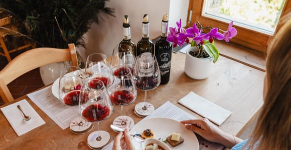 Montalcino : Visite guidée des vignobles et dégustation de produits gastronomiques