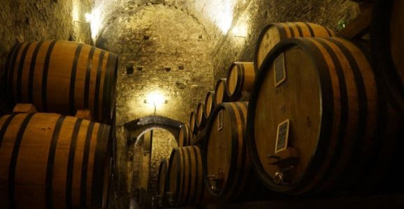 Montepulciano : Dégustation de vins et visite des caves