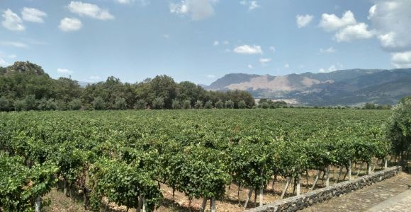 Ätna: Weinverkostung und Foodtour