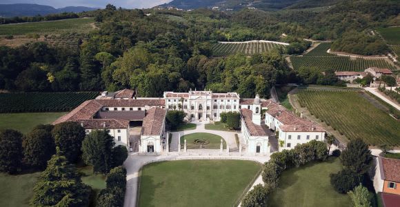 Valpolicella: tour guidato dello Château dell'Amarone e degustazione di vini