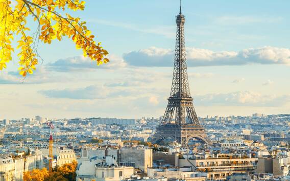 Paris: Eiffel Tower Direct Access with Summit Access