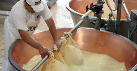 Parma: visita a una granja de Parmigiano Reggiano y degustación con traslado