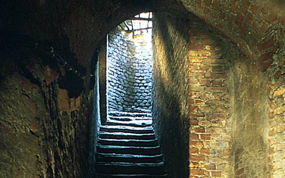 Unique 3-Hour Underground Walking Tour of Turin