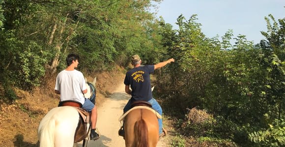 Verona: Horseback Riding and Wine Tasting Experience