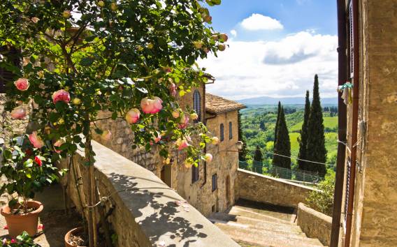 From Florence: Tuscany Day Trip with Optional Lunch and Wine