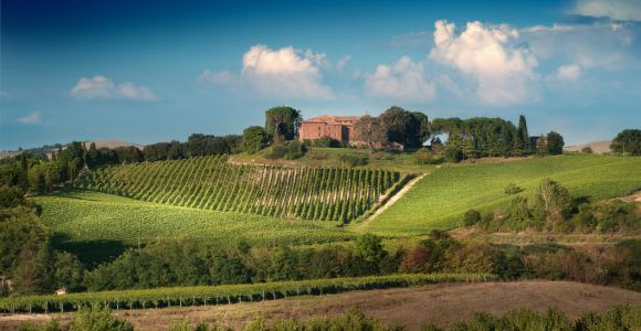Montalcino : Dégustation de vin Brunello