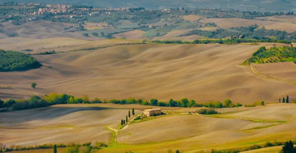 Montepulciano : Dégustation de vin et déjeuner dans une exploitation viticole typique