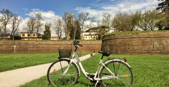 Lucca: City Bike One-Day Rental