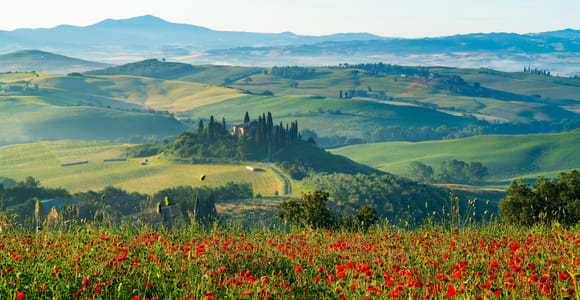 Rom: Tagestour in die Toskana und nach Montepulciano mit Mittagessen und Weinen