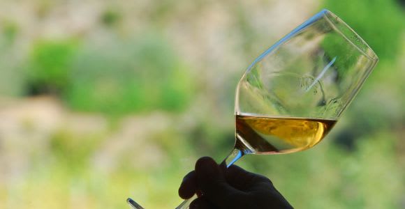 Manarola: Cinque Terre Wine Tasting