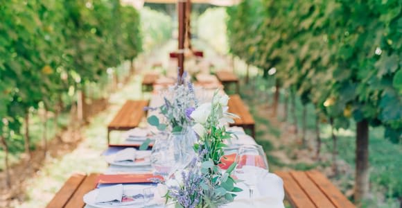 San Gimignano: Romantic Vineyard Dinner