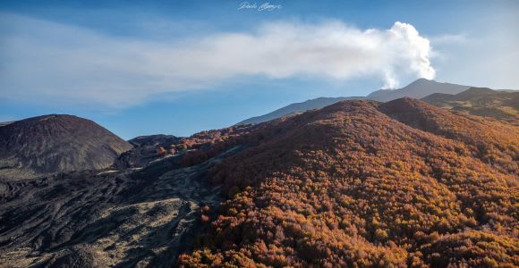 Von Catania: Tour zum Ätna, Wein und Alcantara mit Mittagessen