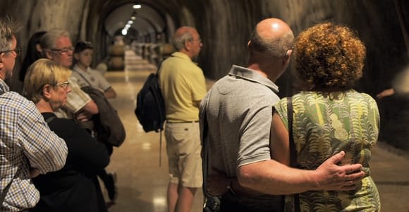 Depuis le lac de Garde : Excursion guidée avec déjeuner et dégustation de vins de Valpolicella
