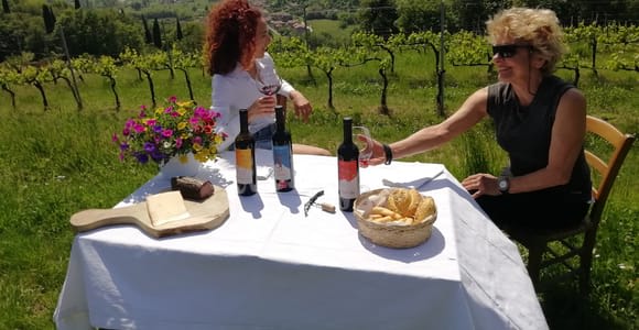 Brescia: excursión de un día a Botticino con cata de vinos en Noventa