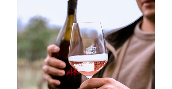 Ozzano Emilia: Guided Cellar Walking Tour with Wine Tasting