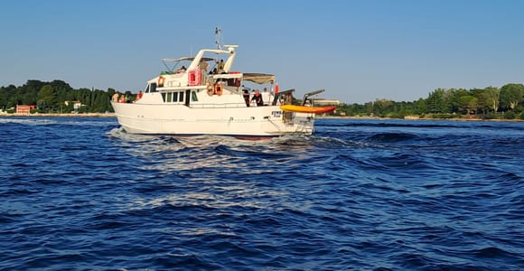 Umag: Crucero al atardecer con avistamiento de delfines