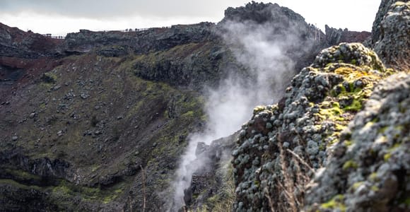 Depuis Naples : Pompéi et le Vésuve Excursion guidée d'une journée avec déjeuner