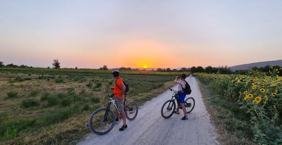 Il WINEdering Bike: Tour privato in bicicletta e degustazione di vini