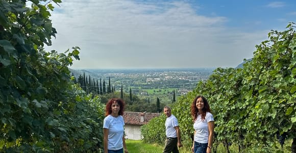 Brescia: excursión de un día a Botticino, nueva cata histórica de vinos