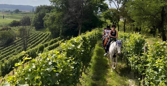 Franciacorta: Horseback Ride through Vineyards & Villages
