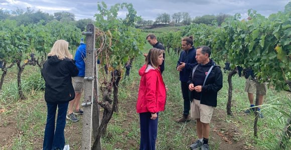 Cata de vinos y visita a Taormina y Mesina desde Mesina