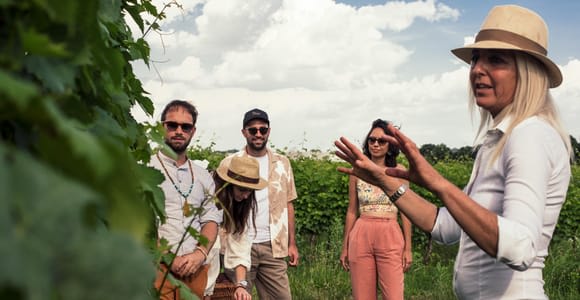 Lake Garda: Vineyard Tour and 6 wine Tasting
