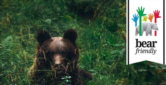 Postumia: tour di osservazione degli orsi con ranger e guida locale