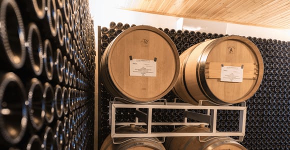 Pavia: visita a una cantina bio e degustazione di vini con cibo