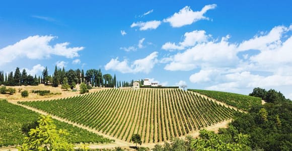 Terricciola Valdera E-Bike Tour + Wine Tasting, Photo Shoot