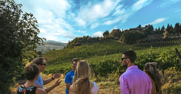 Sienne : Visite d'un vignoble biologique et dégustation de vin