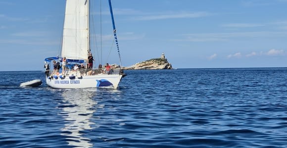 Researchers for a day on Elba Island - Dolphins experience