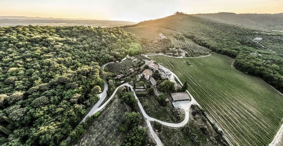 Trasimeno: Descubriendo la Experiencia Vitivinícola de Montemelino