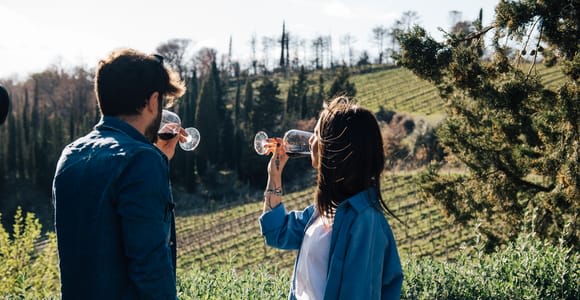 From Florence: Chianti Hills Half-Day Tour with Wine Tasting