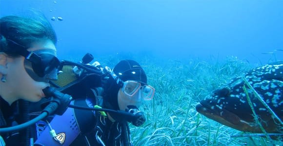 Marina di Campo: Try diving on the island of Elba