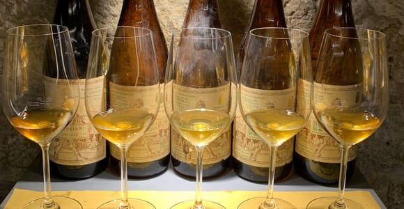 Wine Tasting with Local Bites in Pisa near the Tower