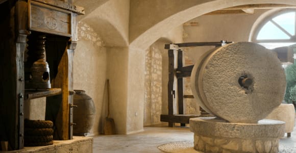 Olive Mill Tour and Tasting in the Verona Countryside