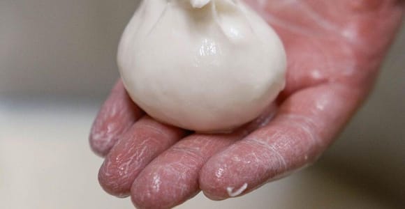 Apulia: Visita a la Masseria Seppunisi, Degustación de Queso y Burrata