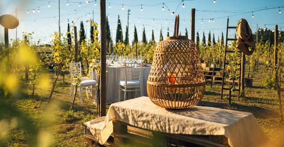 Sunset Dinner Among the Vines – Small Group from Siena