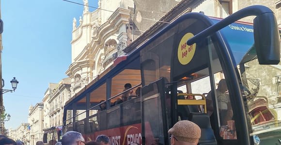 Panoramabusse zum Ätna, Audioguide in 9 Sprachen, ab Catania